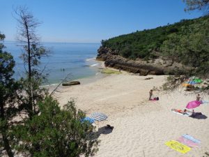 passeio barco praias arrabida setubal sesimbra caminhando-11