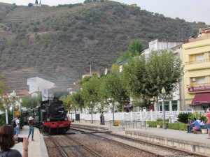 passeio comboio historico douro cruzeiro caminhando-14