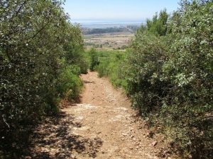 caminhadas alverca morgado hipismo caminhando-5