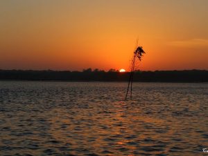 passeio de barco gambia estuario do sado caminhando-14