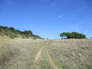 caminhada arrabida palmela serra caminhando-7