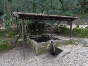 caminhada lagos monserrate rodel serra de sintra caminhando 14