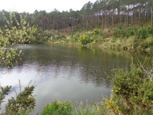 caminhada lagos monserrate rodel serra de sintra caminhando 4