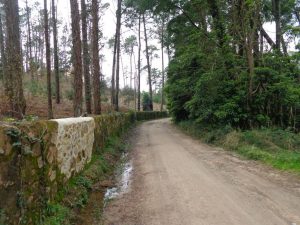 caminhada lagos monserrate rodel serra de sintra caminhando 1