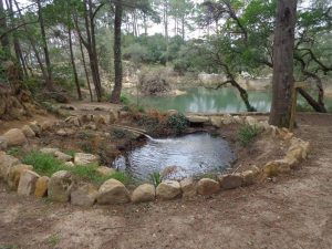 caminhada lagos monserrate rodel serra de sintra caminhando 4