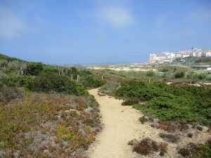 caminhadas praia grande macas alto da vigia caminhando-8