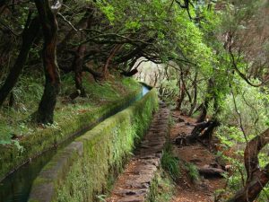 caminhadas madeira levadas caminhando-7