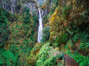 caminhadas madeira levadas caminhando-13