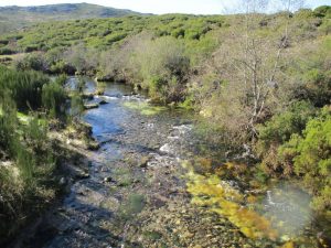 alvao cascatas vila real fisgas ermelo- ibeira pena caminhando-23