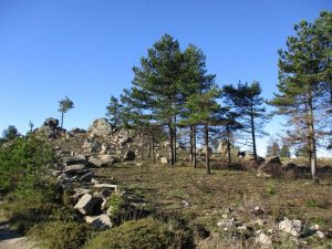 alvao cascatas vila real fisgas ermelo- ibeira pena caminhando-45