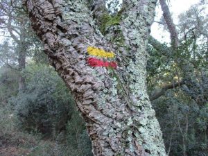castelo-mouros-arrabida-caminhando-2