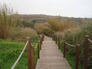 rota vicentina aljezur sao vicente caminhando-16