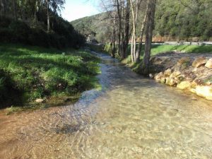 caminhada salinas rio maior tasquinhas caminhando-15