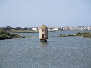 caminhada ponta dos corvos seixal caminhando-14