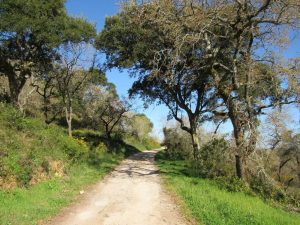 caminhada aldeia da roupa branca charneca caminhando-8