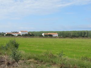 caminhada carrasqueira cais palafitico comporta estuario do sado caminhando-21