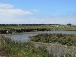 caminhada carrasqueira cais palafitico comporta estuario do sado caminhando-13