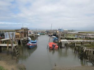 caminhada carrasqueira cais palafitico comporta estuario do sado caminhando-8