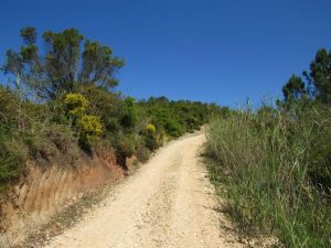 caminhada passadicos foz do arelho caminhando