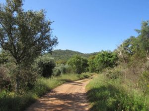 caminhada serra de grandola caminhando-11