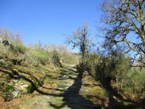 caminhada pitoes das junias geres caminhando