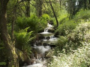 caminhada aldeias xisto aldeia da pena penedos de gois caminhando