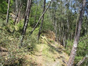 caminhada aldeias xisto penedos de gois caminhando