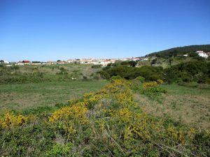caminhada porto guincho velho caminhando