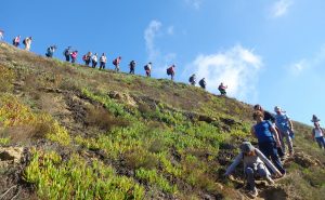 pesquisar caminhadas com a caminhando