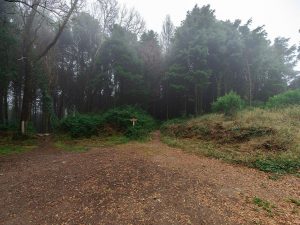 tour fotografico serra de sintra capuchos caminhando