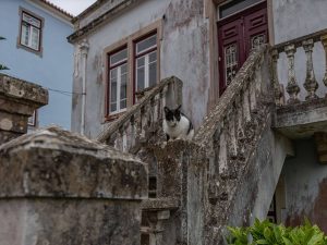 tour fotografico sintra caminhando