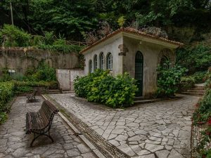 tour fotografico sintra caminhando