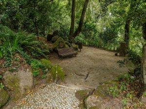 tour fotografico sintra caminhando