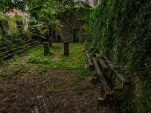 tour fotografico sintra caminhando