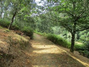 caminhada fragas d casal de sao simao  aldeia xisto caminhando