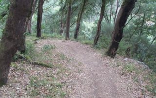 caminhada fragas d casal de sao simao aldeia xisto caminhando