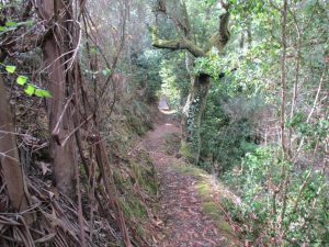 caminhada fragas d casal de sao simao  aldeia xisto caminhando