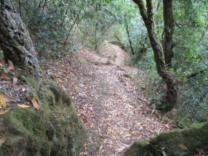 caminhada fragas d casal de sao simao  aldeia xisto caminhando