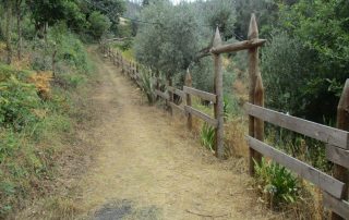 caminhada fragas d casal de sao simao aldeia xisto caminhando