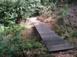 caminhada fragas d casal de sao simao  aldeia xisto caminhando