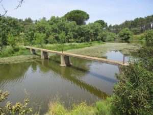 caminhada barragem da tourega valverde caminhando