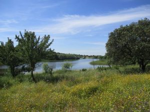 caminhada barragem da tourega valverde caminhando