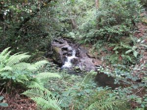 caminhada cascata pedra ferida penela caminhando