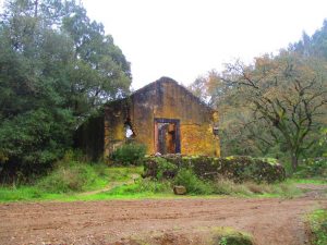 caminhada mata belas sintra caminhando