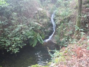 caminhada-oliveira-de-frades-cascatas-caminhando-11