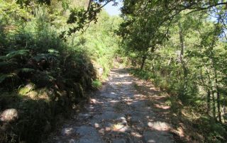 caminhada vale do bestanca cinfaes douro montemuro caminhando