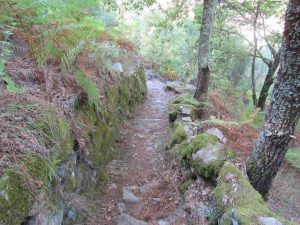 caminhada vale do bestanca cinfaes douro montemuro caminhando