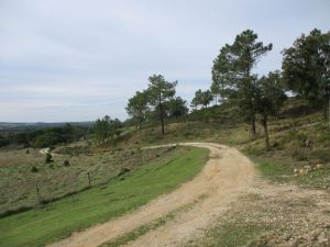 caminhada aldeias arrabida irmaos oleiros azeitao caminhando