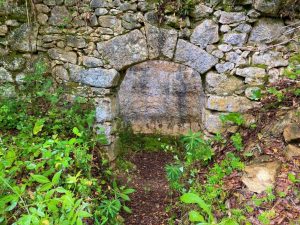 caminhada mata curvachia leiria caminhando