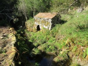 caminhada rio vouga oliveira de frades serra do caramulo caminhando